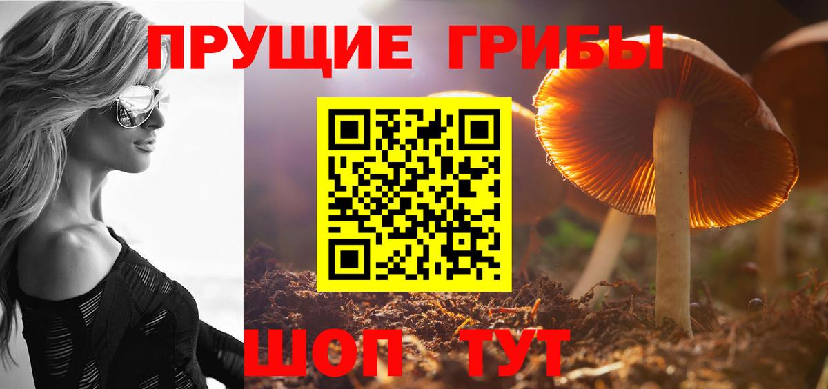 Реж  Галлюциногенные грибы Psilocybine cubensis  купить   Вход с VPN 